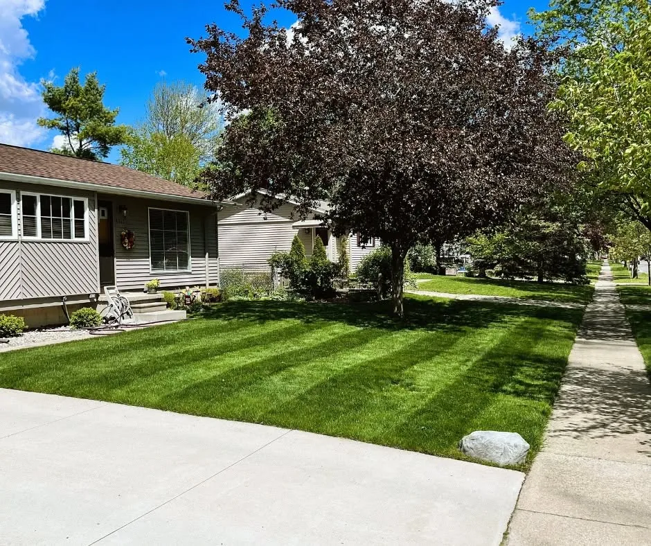 Freshly striped lawn in front of a brick home