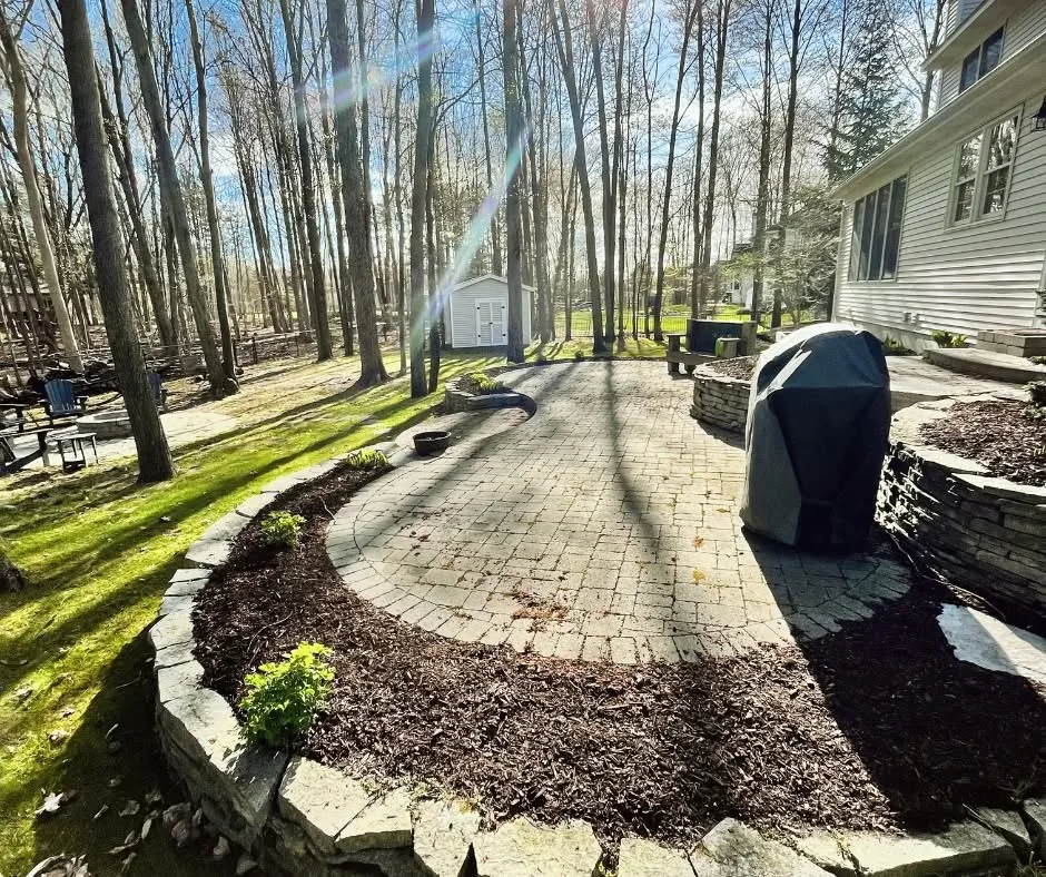 Mulched patio bed beneath mature trees