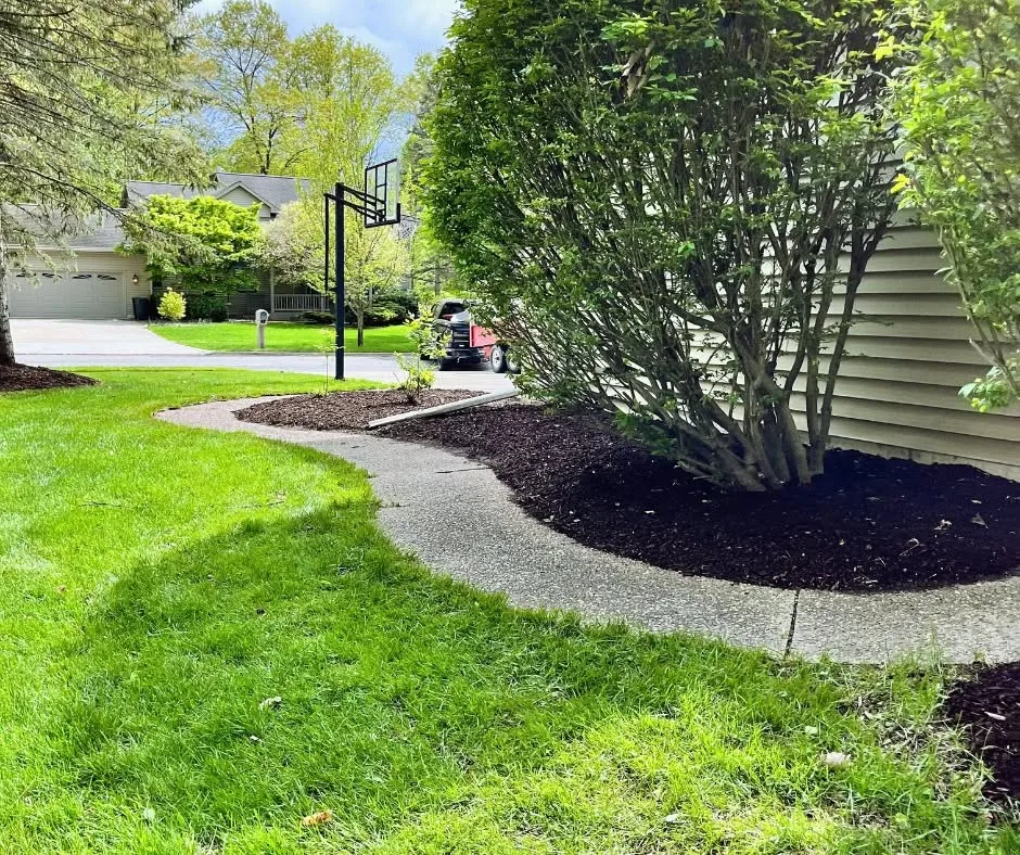 Paver walkway framed by fresh mulch and planting beds