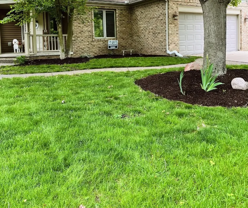 Lush lawn after a spring cleanup and landscape refresh