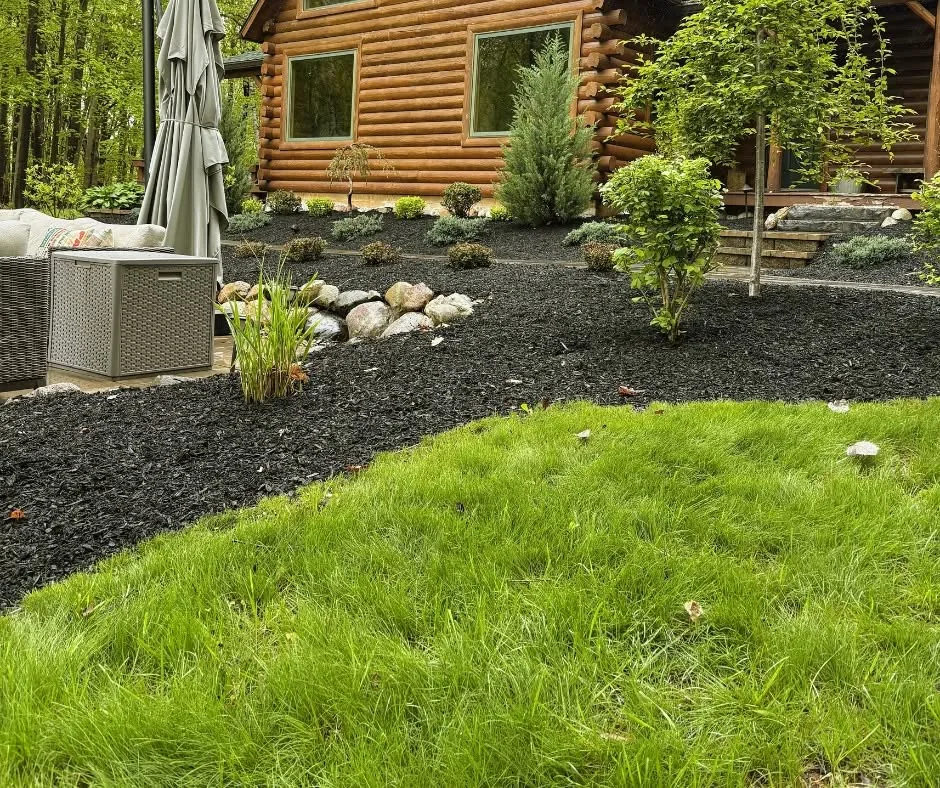 Cabin home with finished mulch beds and shaped shrubs